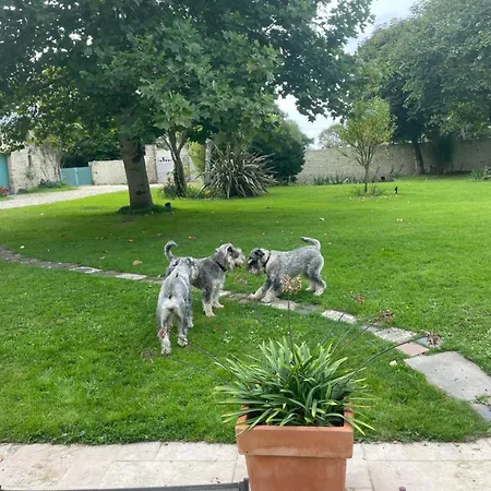 Bed and breakfast Des Perriots 4*