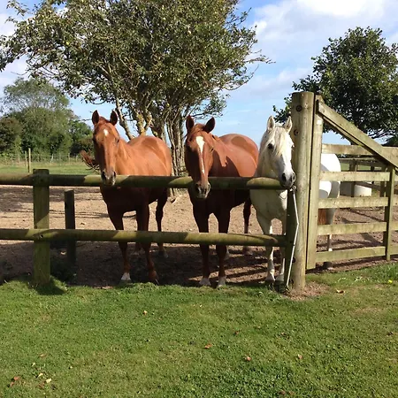 Des Perriots Bed & Breakfast Englesqueville-la-Percée