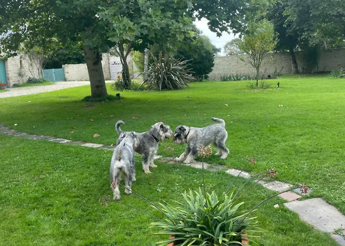 Bed and breakfast Des Perriots 4*