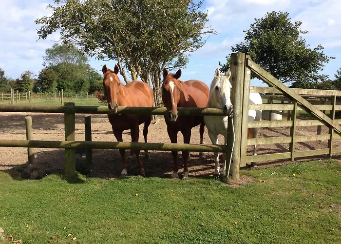 Des Perriots Bed and breakfast Englesqueville-la-Percée