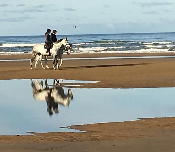 Des Perriots Englesqueville-la-Percée